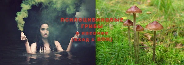 прущая мука Богородск